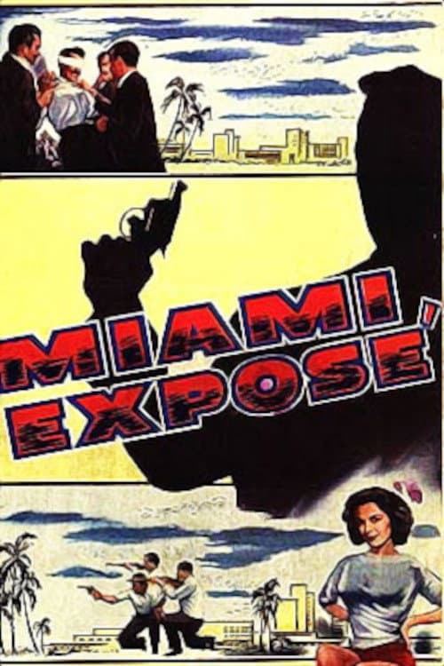 Постер: Miami Exposé