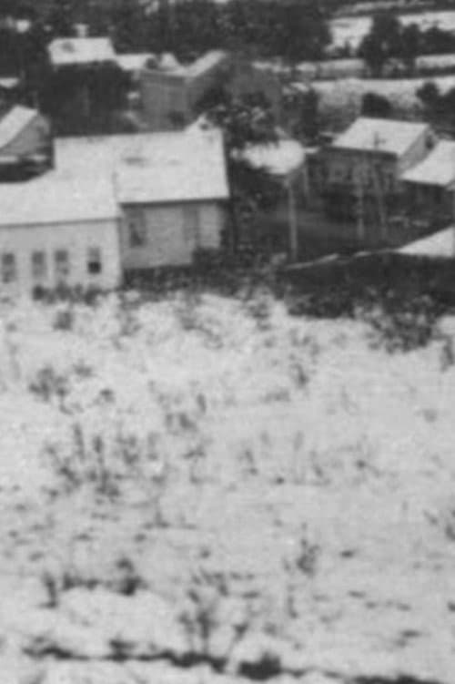 Постер: Neve em Curitiba
