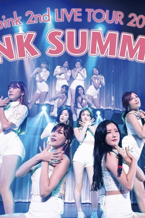 Постер: Apink 2nd LIVE TOUR 2016 -PINK SUMMER-