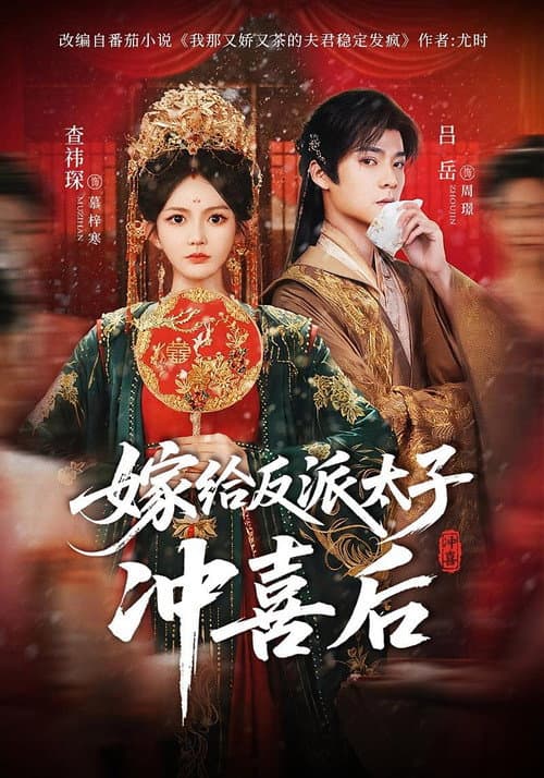Постер: 嫁给反派太子冲喜后