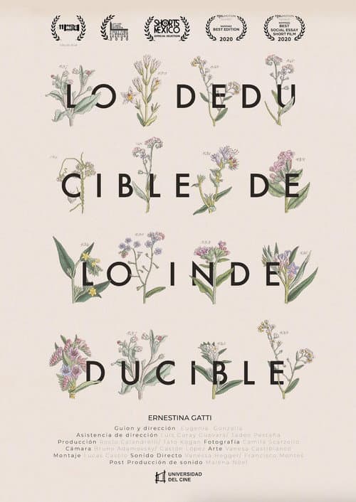 Постер: Lo deducible de lo indeducible