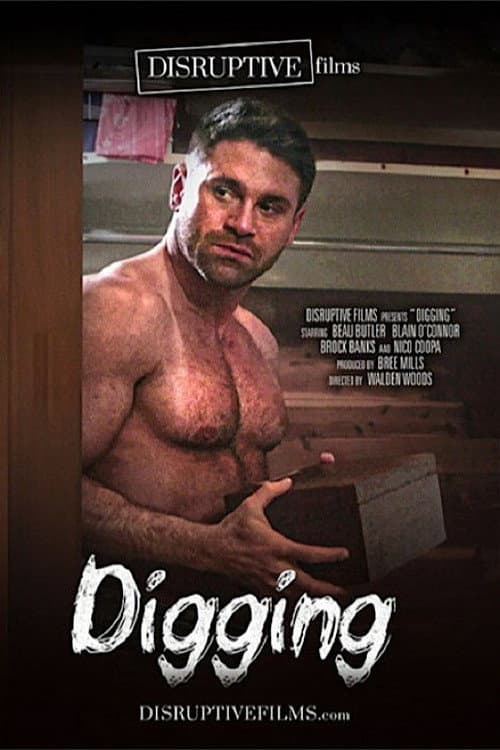 Постер: Digging
