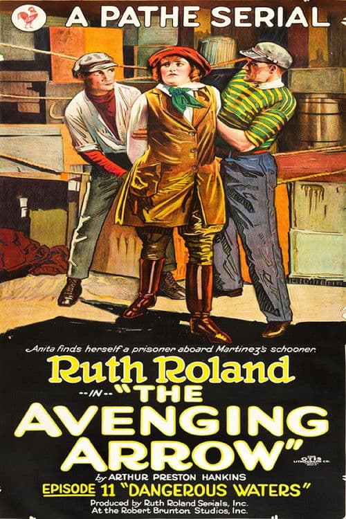 Постер: The Avenging Arrow