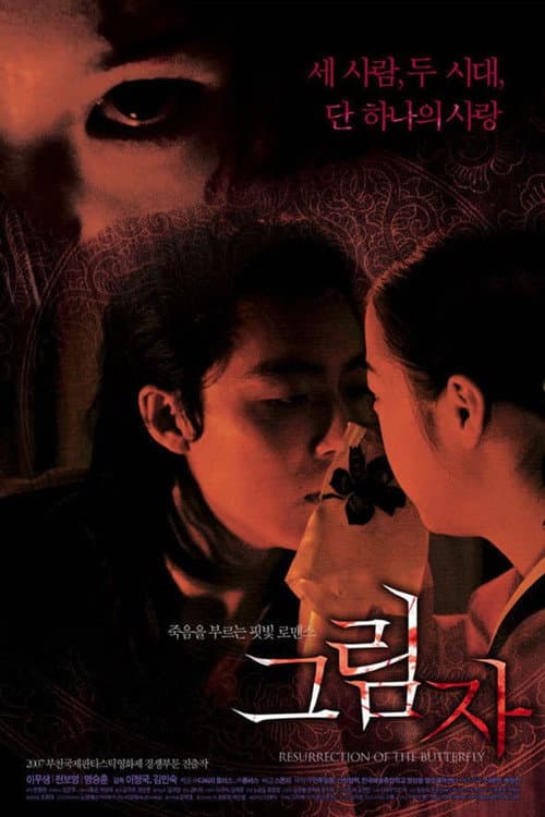 Постер: 그림자