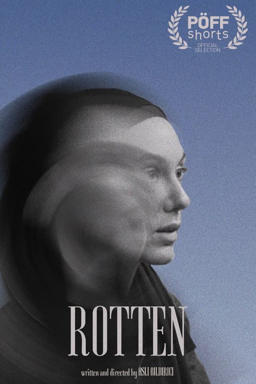 Постер: Rotten
