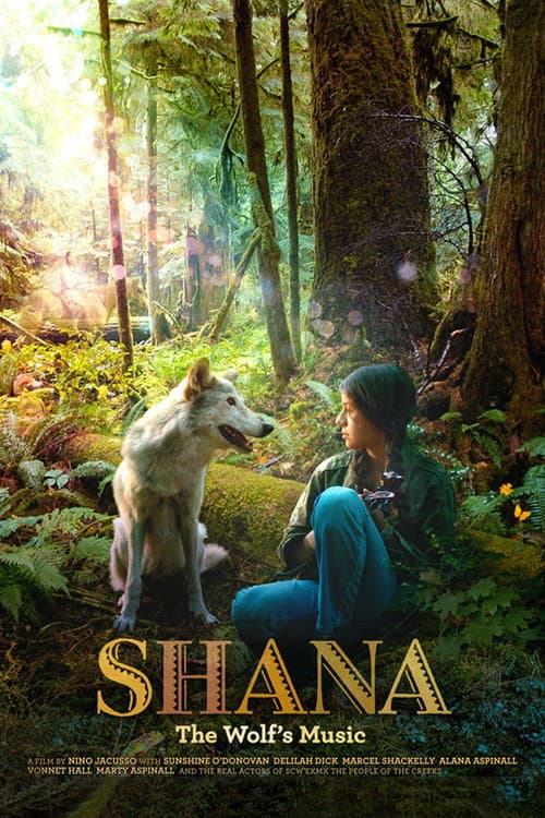 Постер: Shana: The Wolf's Music