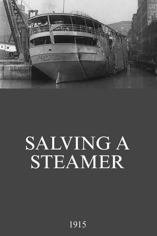 Постер: Salving a Steamer