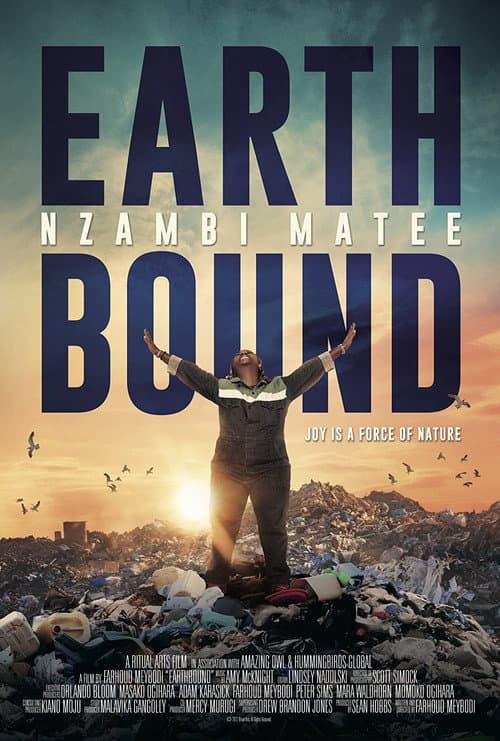 Постер: Earthbound: Nzambi Matee