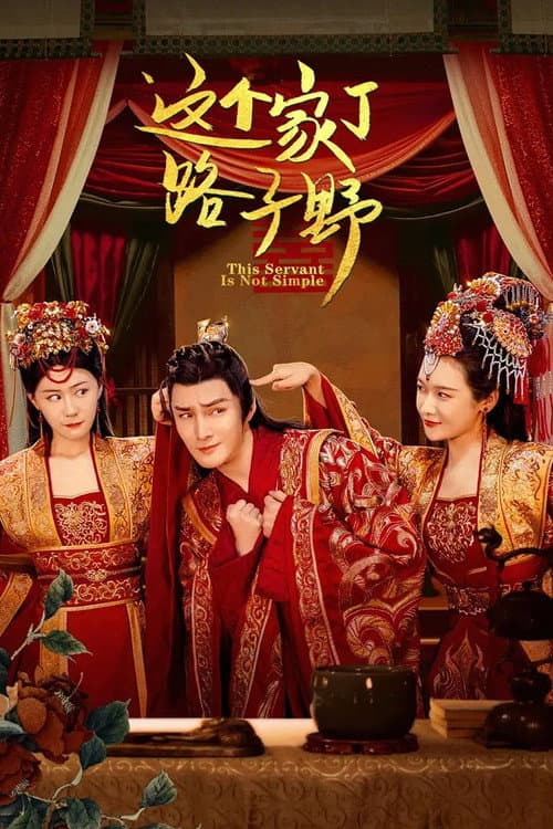 Постер: 这个家丁路子野