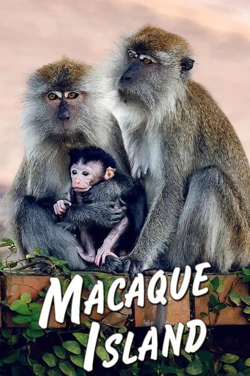 Постер: Macaque Island