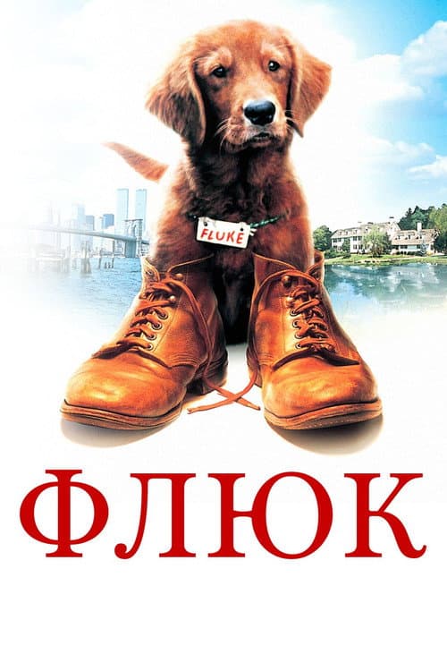 Кадр 5