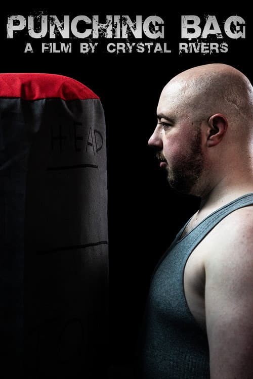 Постер: Punching Bag