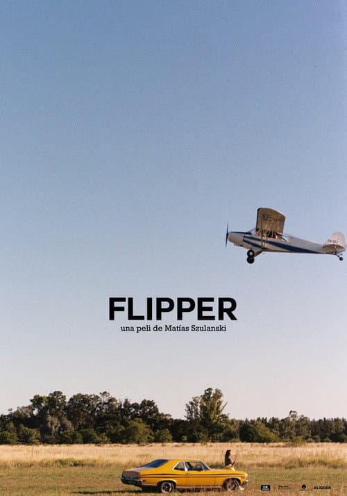 Постер: Flipper