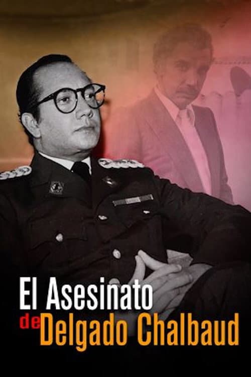 Постер: El asesinato de Delgado Chalbaud
