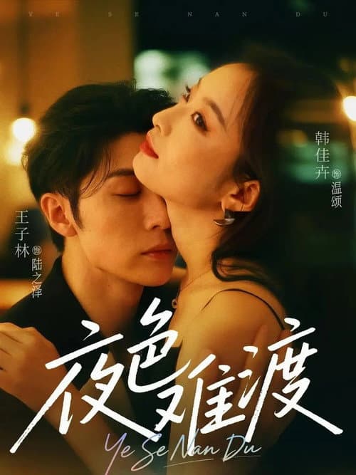 Постер: 夜色难渡