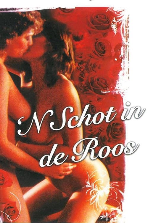 Постер: 'n Schot in de roos