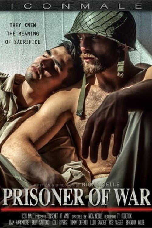 Постер: Prisoner of War