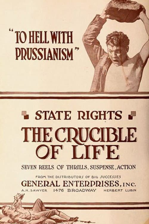 Постер: The Crucible of Life