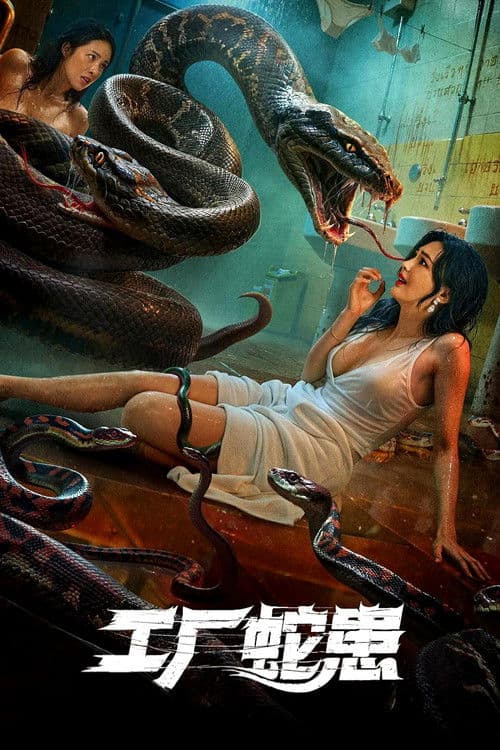Постер: 工厂蛇患