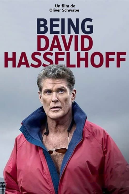 Постер: Being David Hasselhoff