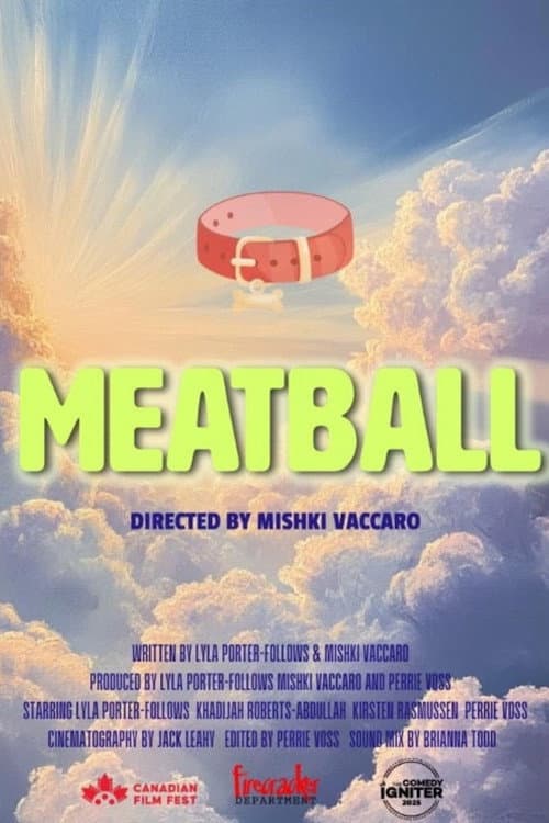 Постер: Meatball