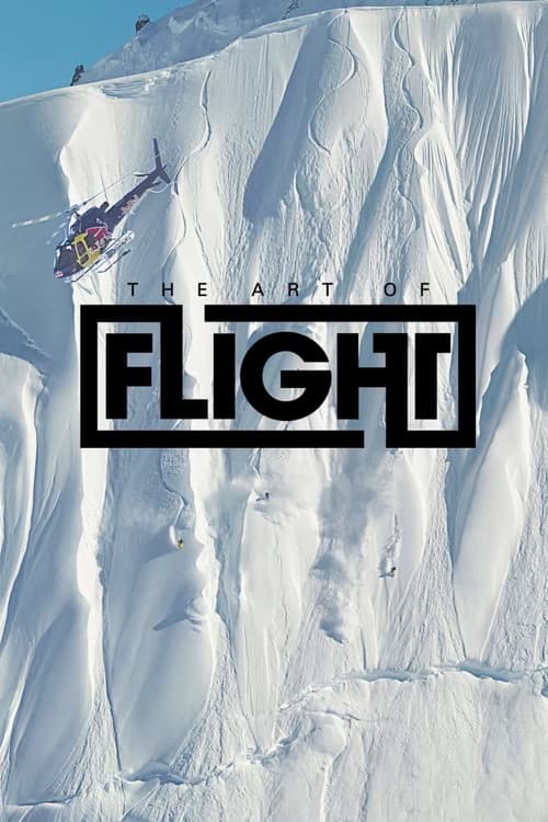 Постер: Art of Flight: The Series