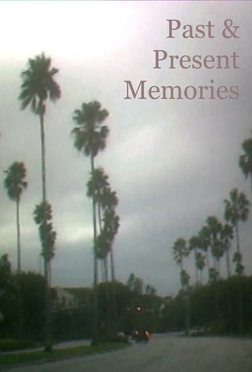 Постер: Past & Present Memories