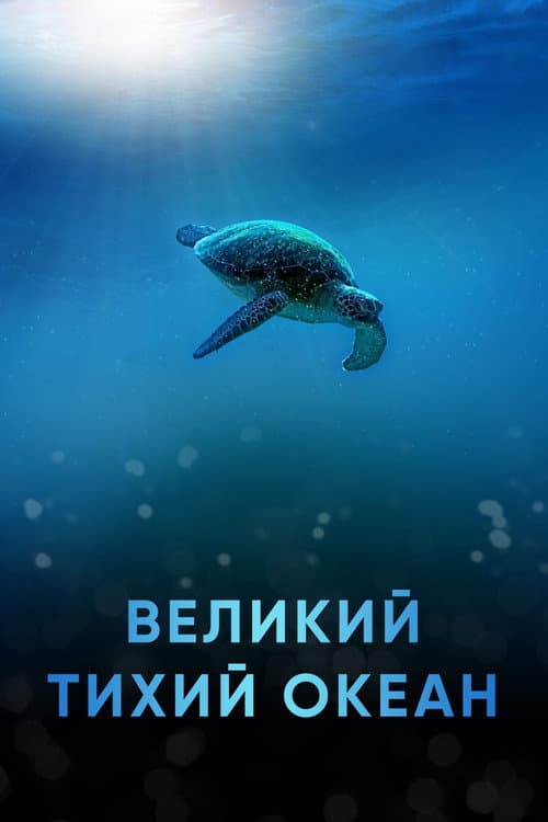 Кадр 3