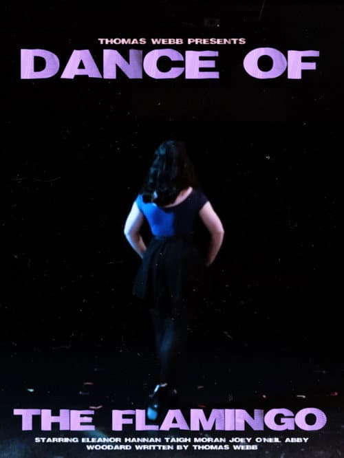Постер: DANCE OF THE FLAMINGO