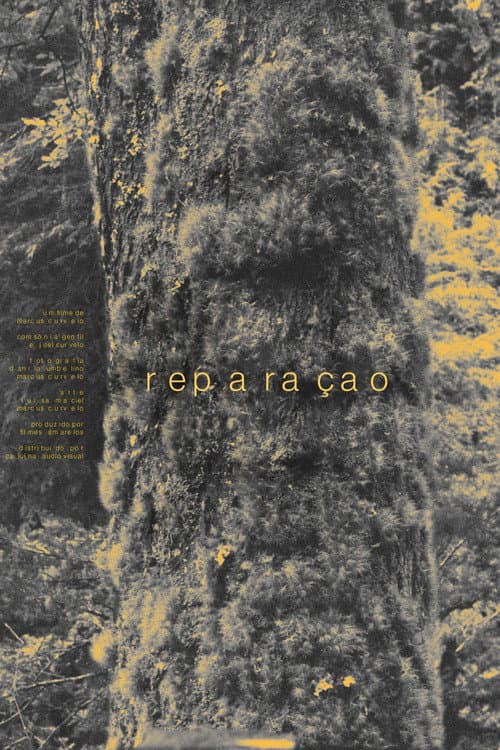 Постер: Reparação