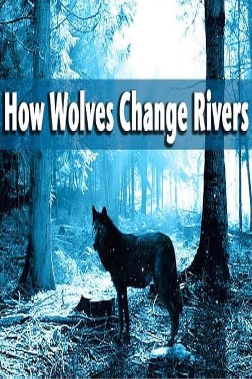 Постер: How Wolves Change Rivers