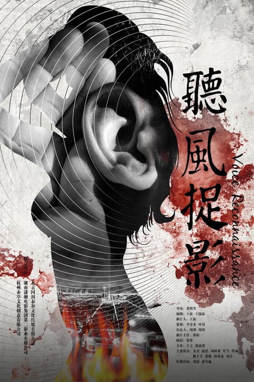 Постер: 听风捉影