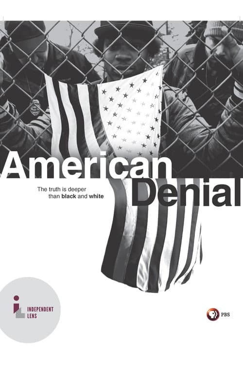 Постер: American Denial