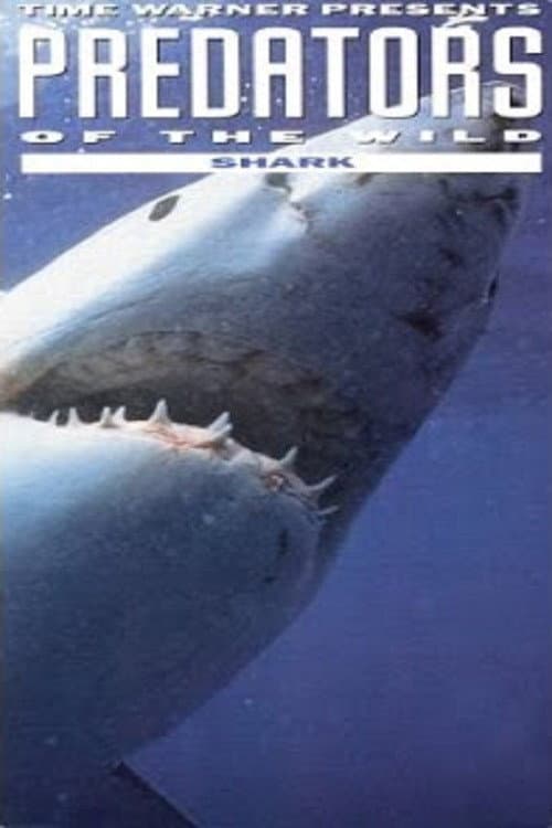 Постер: Predators of the Wild: Shark