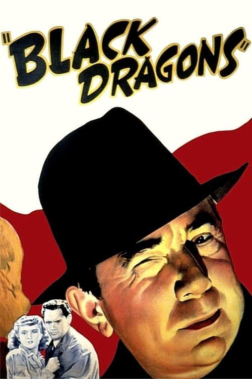 Постер: Black Dragons