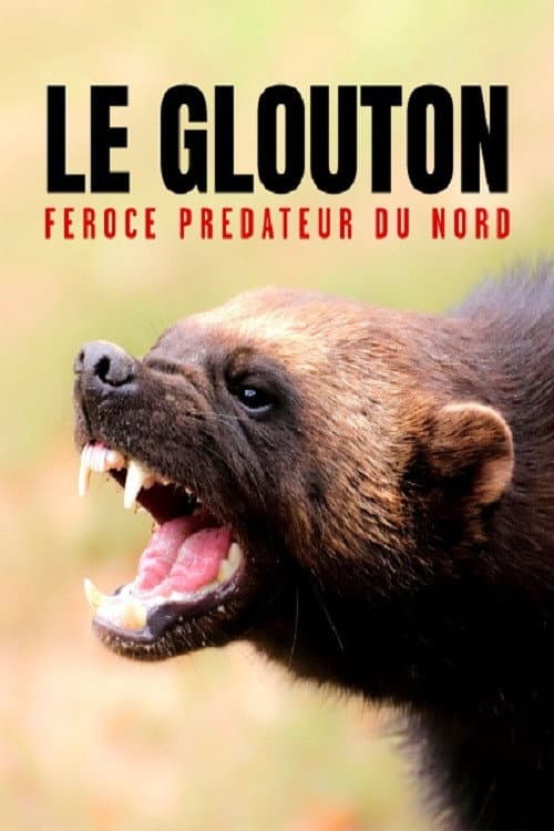 Постер: Le glouton, féroce prédateur du Nord