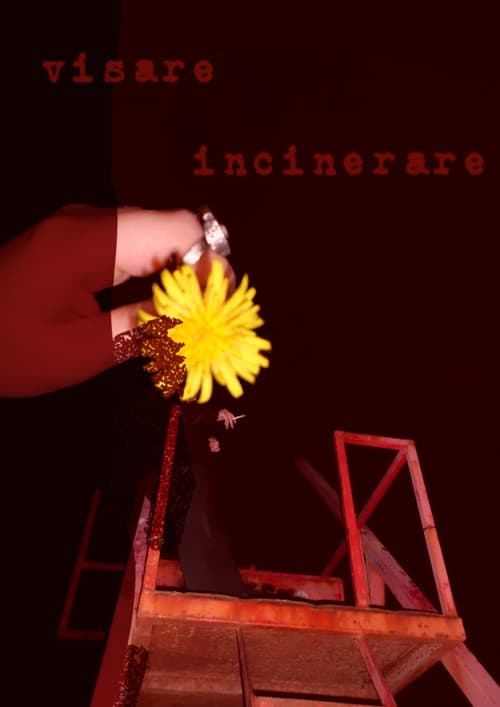 Постер: visare incinerare