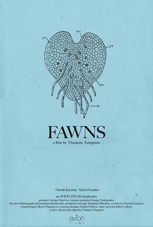 Постер: Fawns