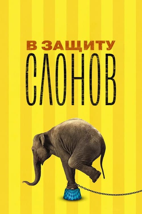 Постер: В защиту слонов