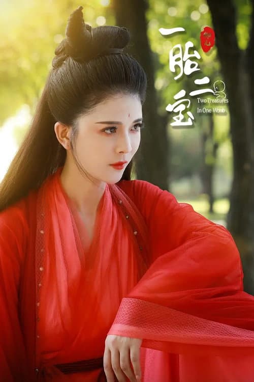 Постер: 一胎二宝