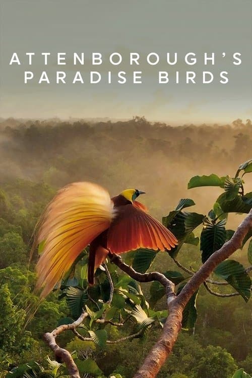 Постер: Attenborough's Paradise Birds