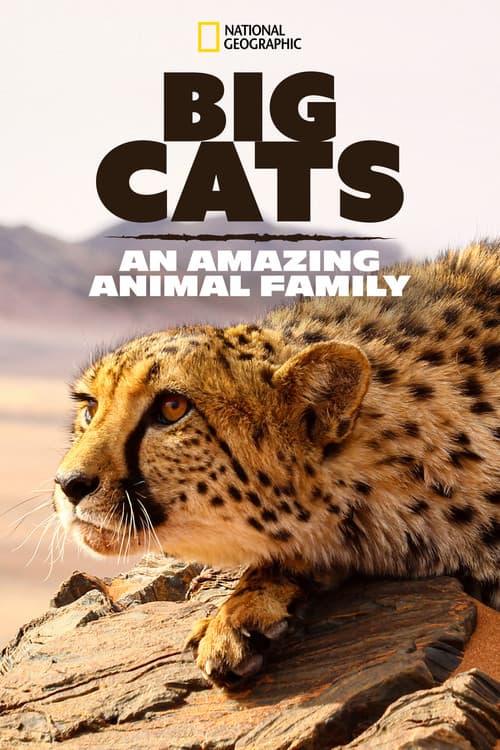 Постер: Big Cats: An Amazing Animal Family