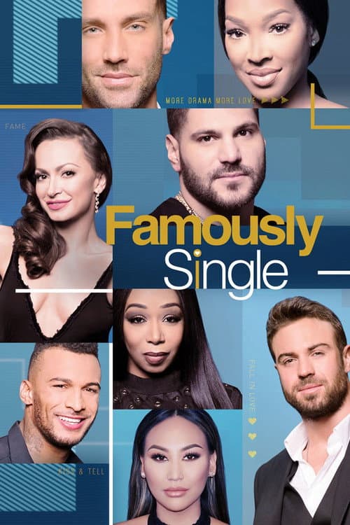 Постер: Famously Single