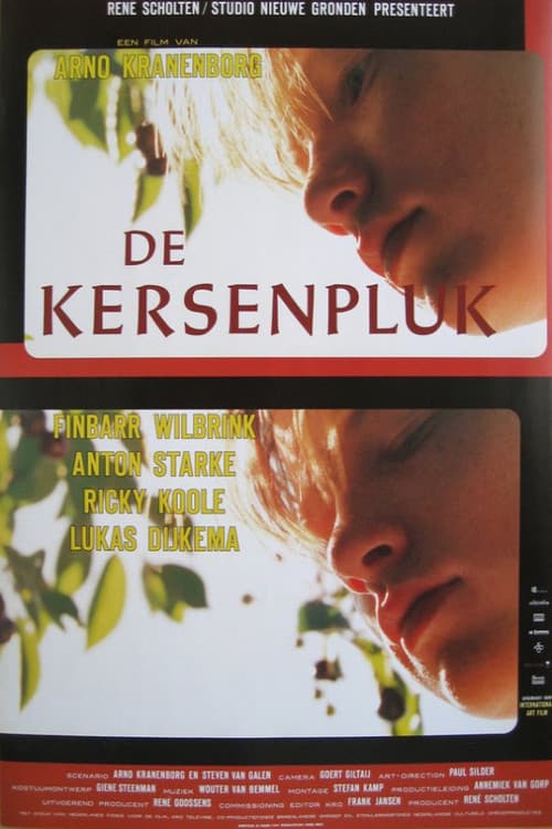 Постер: De kersenpluk