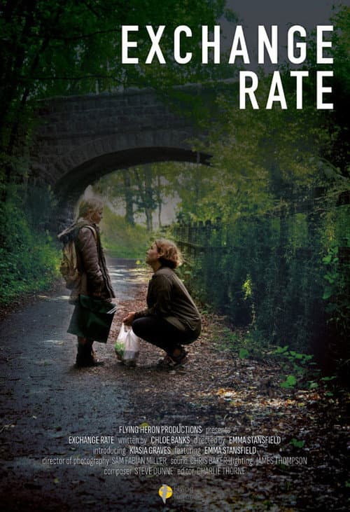 Постер: Exchange Rate