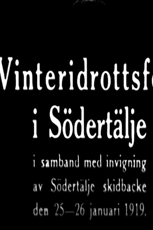 Постер: Vinteridrottsfest i Södertälje
