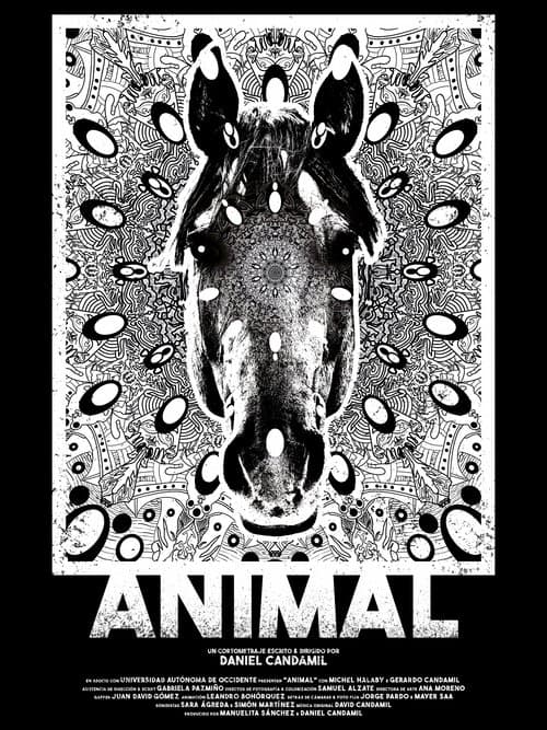 Постер: Animal