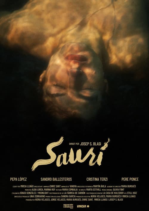 Постер: Saurí