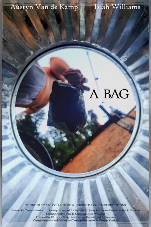 Постер: A Bag