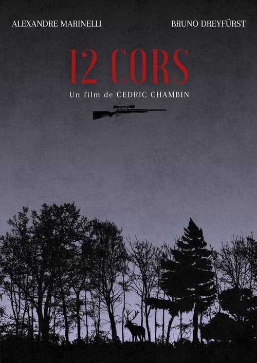 Постер: 12 Cors